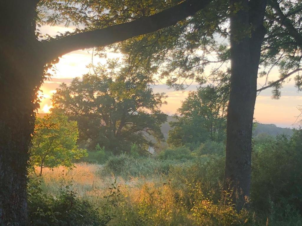 Domaine La Faix, Gite La Forestiere Saint-Plaisir Eksteriør bilde