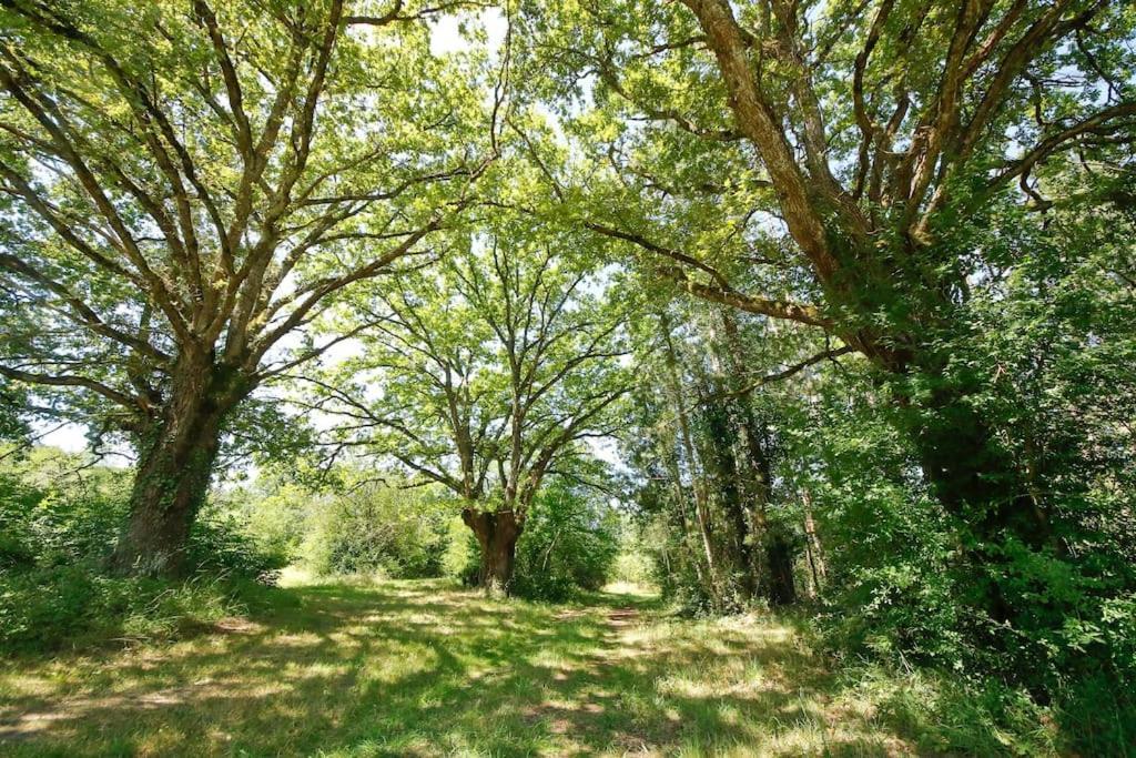Domaine La Faix, Gite La Forestiere Saint-Plaisir Eksteriør bilde